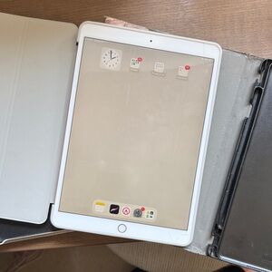 Apple iPad 10.5 inch with tan and Gray and pink Case